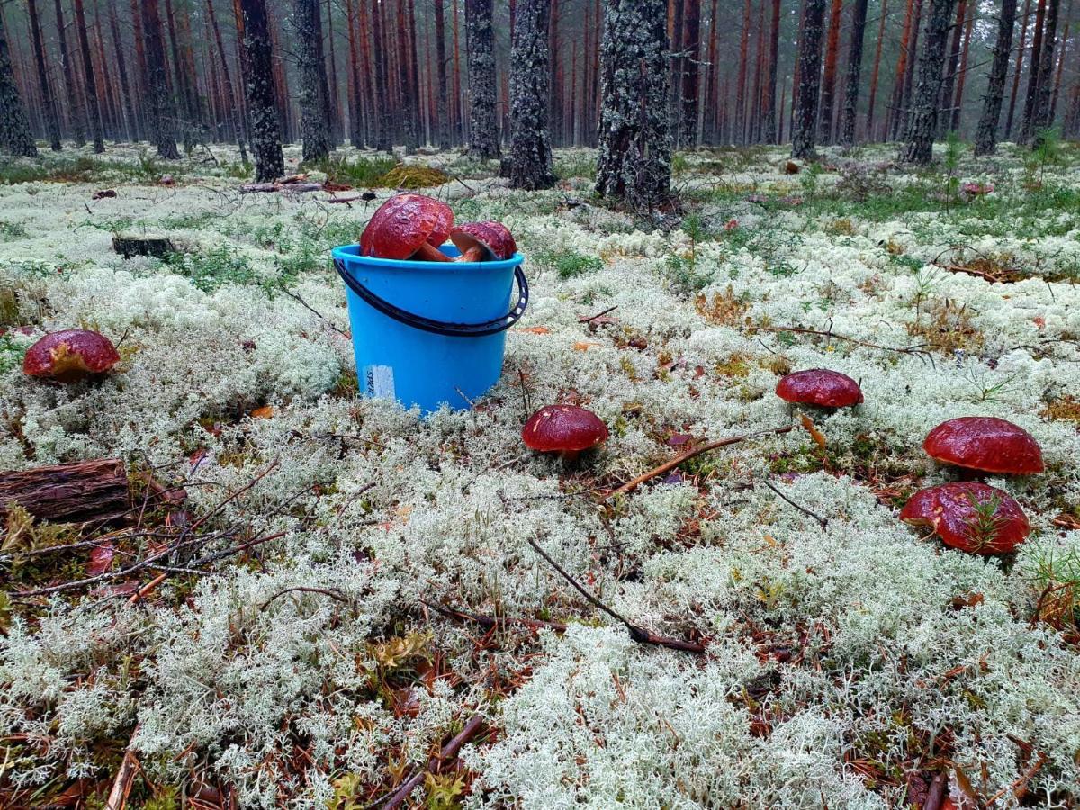 Mysig Timmerstuga Vid Sjoen Bjoerken 34 Roennsudden Grangärde Exteriér fotografie